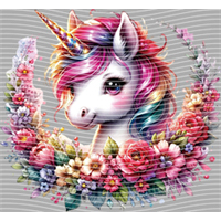 Rainbow Horse-RH 316